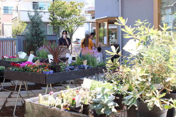 街ノ停留所で手神のお取り扱いが始まりました。