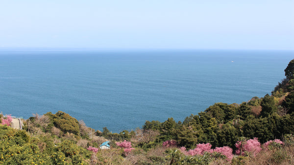 小林じゅんのさん、松本 育さん 11月イベント出店情報