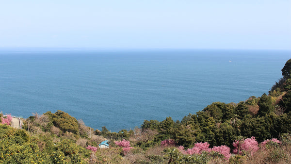 小林じゅんのさん、松本 育さん 11月イベント出店情報